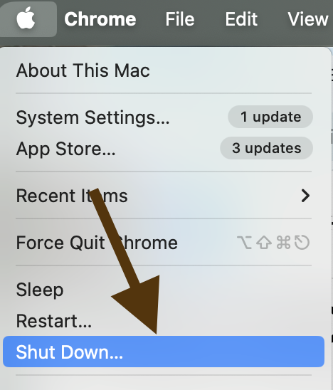 Screenshot 2024 03 03 at 1.24.50 PM